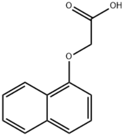 1-NAPHTHOXYACETIC ACID