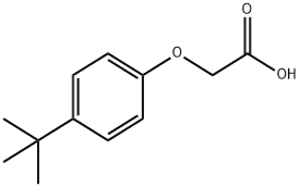 4-TERT-BUTYLPHENOXYACETIC ACID