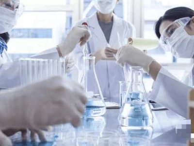 2024 CW domestic exhibition program