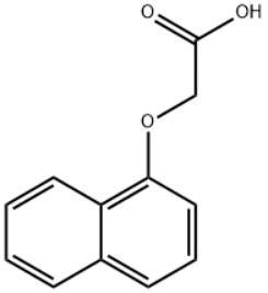 1-NAPHTHOXYACETIC ACID