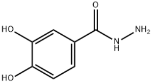 3,4-ДИГИДРОКСИБЕНЗИДРАЗИД