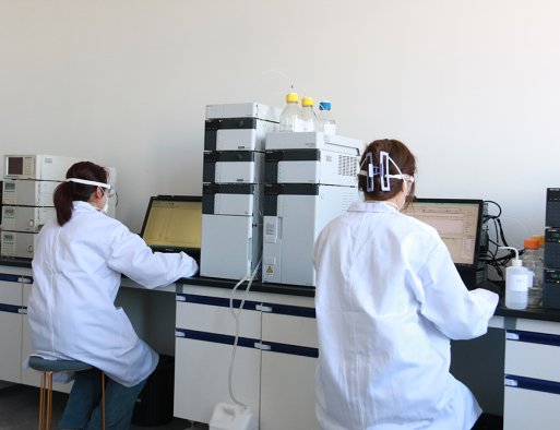 Analytical Laboratory